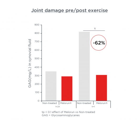 Diagram showing the before-and-after effectiveness of Melorun after exercise on joint damage